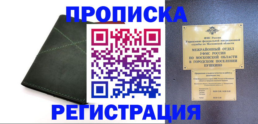 прописка в квартире в Пласте